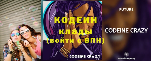мдпв Верхний Тагил