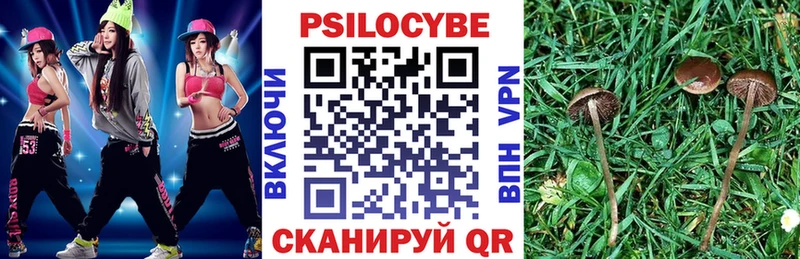 Галлюциногенные грибы MAGIC MUSHROOMS  Первоуральск 